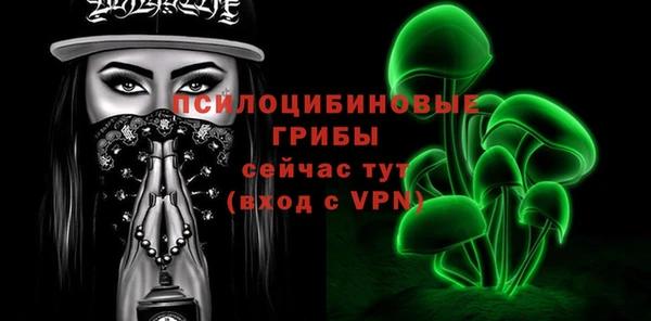 дурь Краснослободск