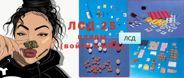 дурь Краснослободск