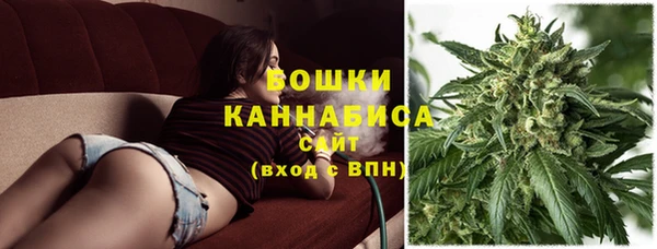 дурь Краснослободск