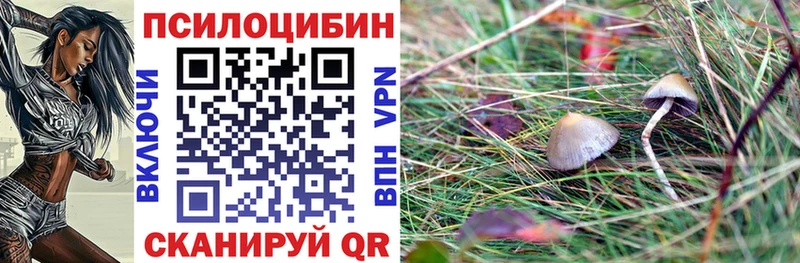 Купить закладки  Городище  Галлюциногенные грибы прущие грибы 